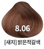 8.06 새치를위한 밝은적갈색