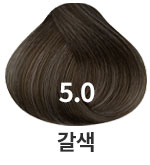 5.0 갈색